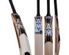 AM Force 8 Cricket Bat