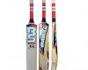 BS Sports BMK 5.0 Cricket Bat