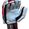BS Sports BMK 5.0 Batting Gloves