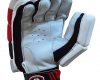 BS Sports BMK 5.0 Batting Gloves