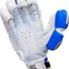 BS Sports BMK 7.0 Batting Gloves