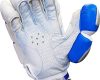 BS Sports BMK 7.0 Batting Gloves