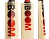 Boom Boom Blaze 175 Cricket Bat