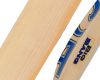 CA-Big-Bang-Cricket-Bat