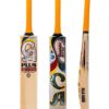 CA-Plus-10000-Bat