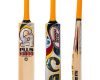 CA-Plus-10000-Bat