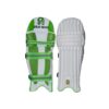 CA Plus 15000 Batting Pads