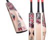 HS 2 Star Cricket Bat