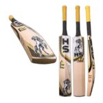 HS 41 Cricket Bat