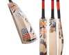 HS 4 Star Cricket Bat
