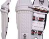 Malik Sher Amin Batting Pads