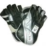 AS V10 Wicket Keeping Gloves
