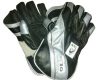AS V10 Wicket Keeping Gloves