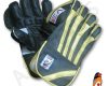 AS V3 Wicket Keeping Gloves