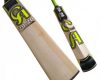 CA 2020 Cricket Bat