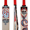 CA Plus 15000 Player Ed Bat