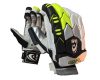 AS Player V10 Batting Gloves