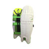 AS V10 Batting Pads