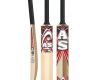 AS T20 Cricket Bat