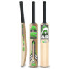 AS V10 Cricket Bat