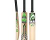 AS V10 Cricket Bat