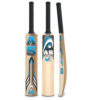 AS V3 Cricket B
