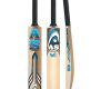 AS V3 Cricket B