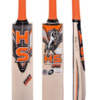 HS 96 Cricket Bat