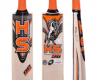 HS 96 Cricket Bat