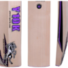 HS Y10K Cricket Bat