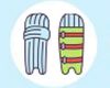 Batting Pads