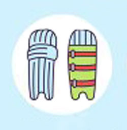 Batting Pads