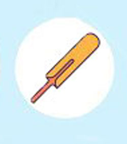 Cricket Bats
