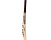 CA Big Bang Cricket Bat