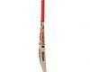 CA Dragon 40 mm Cricket Bat