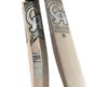 CA Dragon Bat