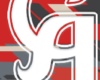CA Pro Series Bats