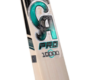 CA Pro 10000 Bat