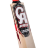 CA Pro 12000 Bat