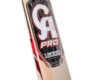 CA Pro 12000 Bat
