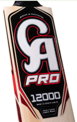 CA Pro 12000 Bat