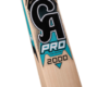 Pro 2000 Cricket Bat