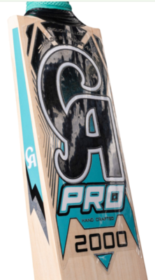 CA Pro 2000 Bat