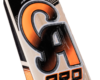 CA Pro 5000 Bat