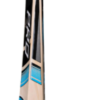 CA Pro 7000 Bat