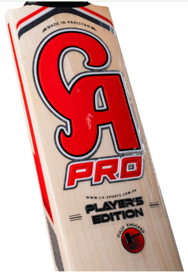 CA Pro Players Edition Bat